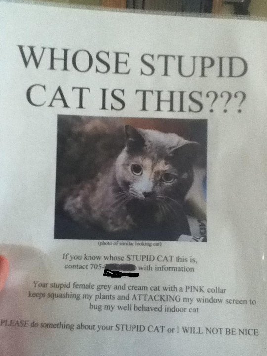 WHOSE STUPID CAT IS THIS??? (photo of similar looking cat) If you know whose STUPID CAT this is, contact 705-XXX-XXXX with information. Your stupid female grey and cream cat with a PINK collar keeps squashing my plants and ATTACKING my window screen to bug my well behaved indoor cat. PLEASE do something about your STUPID CAT or I WILL NOT BE NICE. WHOSE STUPID CAT IS THIS??? (photo of similar looking cat) If you know whose STUPID CAT this is, contact 705-XXX-XXXX with information. Your stupid female grey and cream cat with a PINK collar keeps squashing my plants and ATTACKING my window screen to bug my well behaved indoor cat. PLEASE do something about your STUPID CAT or I WILL NOT BE NICE.